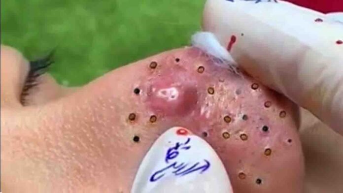 maxresdefault (71) Accredited Agricultural Business Programs